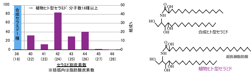 植物由来なのにヒト型セラミド 株式会社サティス製薬