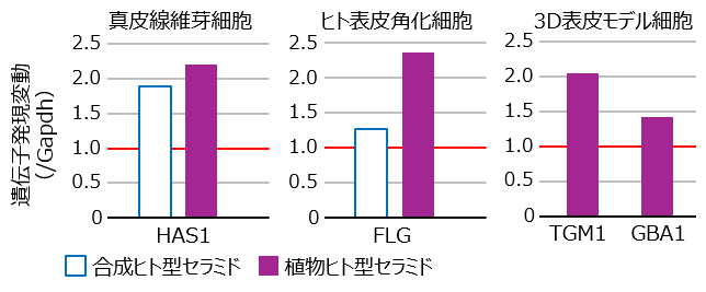 植物由来なのにヒト型セラミド 株式会社サティス製薬