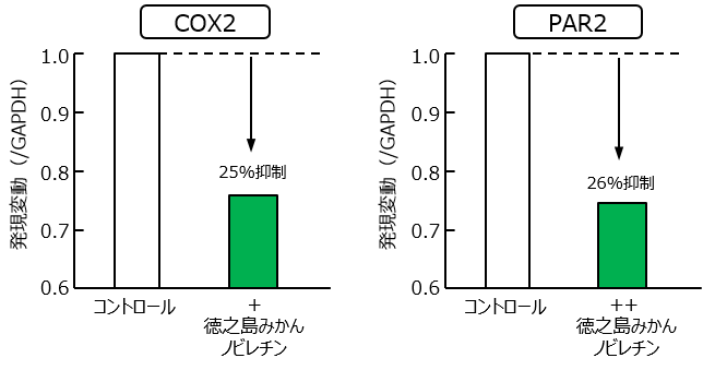 高浸透みかんノビレチン 株式会社サティス製薬