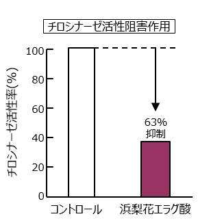 高浸透ハマナス花エラグ酸 株式会社サティス製薬