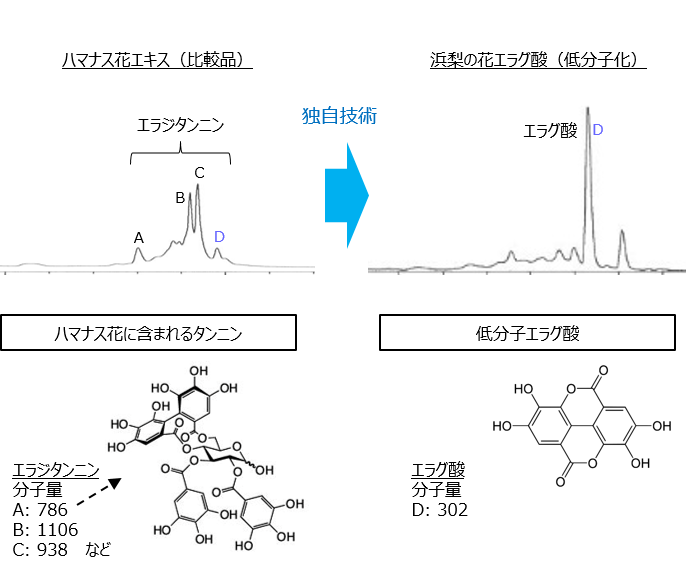 高浸透ハマナス花エラグ酸 株式会社サティス製薬