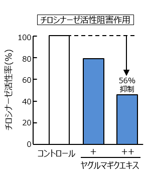 食用花 矢車菊エキス 株式会社サティス製薬